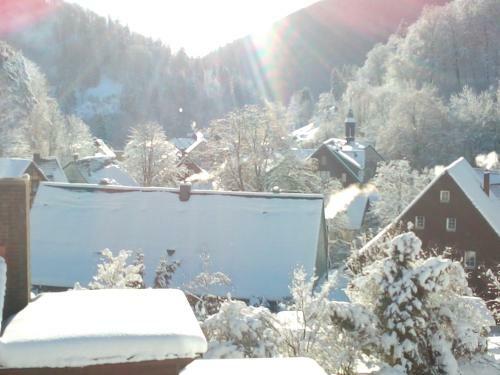 Apartamento Haus " Elfriede "