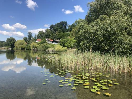 Apartamento Haus Am Weinberg, 83370 Seeon Oberbayern