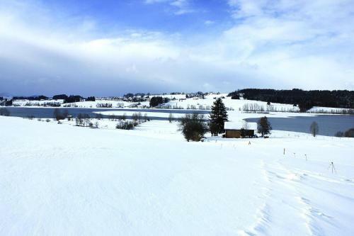 Apartamento 4 Star Holiday Home In Oy-mittelberg