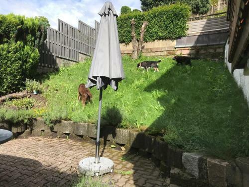 Apartamento Ferienwohnung Sonnenschein - A61869