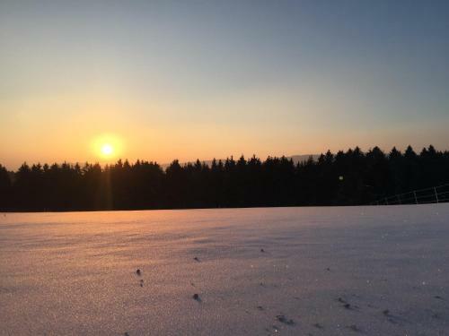 Apartamento Goski & Gobike Winterberg 4k Netflix Free