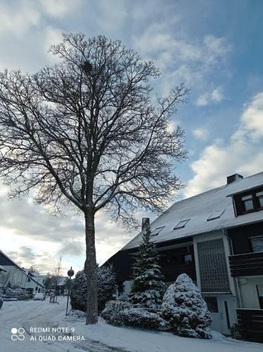Apartamento Winterberg Centrum