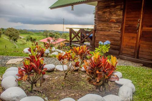 Caba�a Dharma
