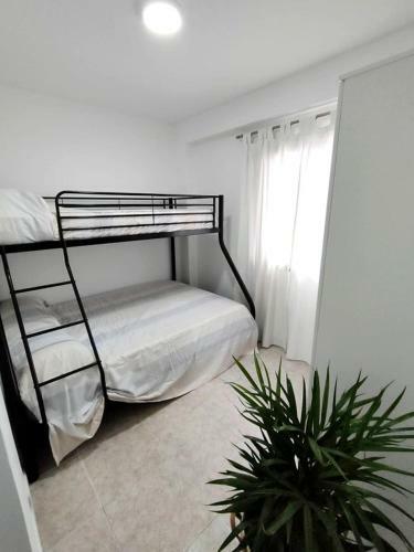Precioso Apartamento A Estrenar, A 100mts de La Playa
