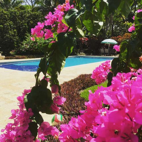 1541 Ecolodge - Glamping