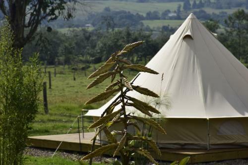 La Victoria Glamping