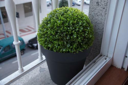 Apartamento Piso Moa�a 3 Dormitorios
