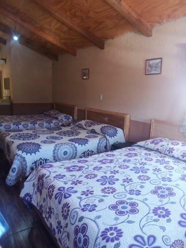 Hotel Casa Grande