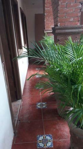 Apartamento Room 1 - Loft For Business People Or Students