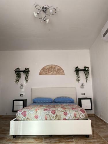 Hostal L'oasi Del Tuffatore
