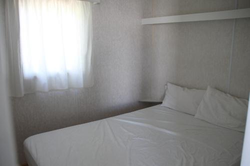 Camping Coll Vert