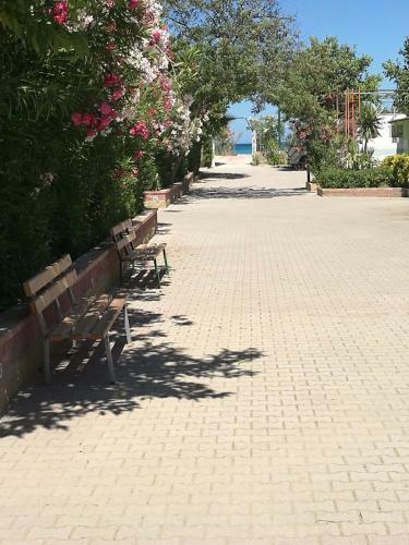Camping Village Oasi