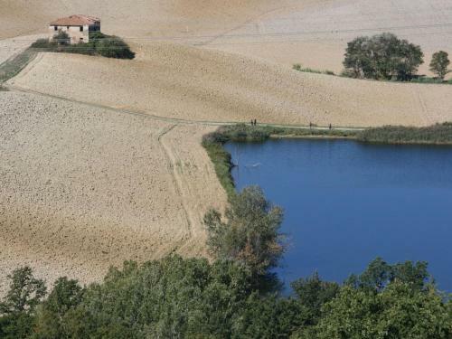 Rural Apartment In Castelfiorentino With Private Terrace