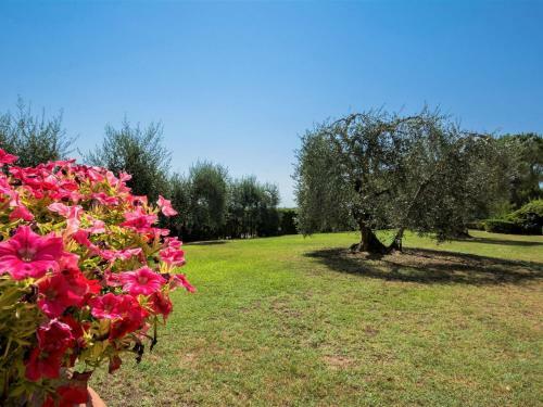Rural Apartment In Castelfiorentino With Private Terrace
