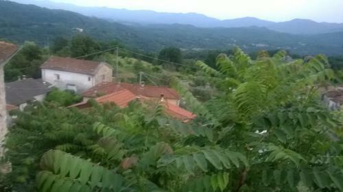 C� Ermenegarda