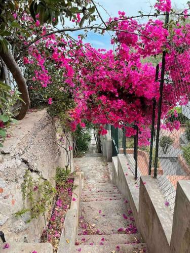Villetta Con Terrazza E Accesso Privato A Mare