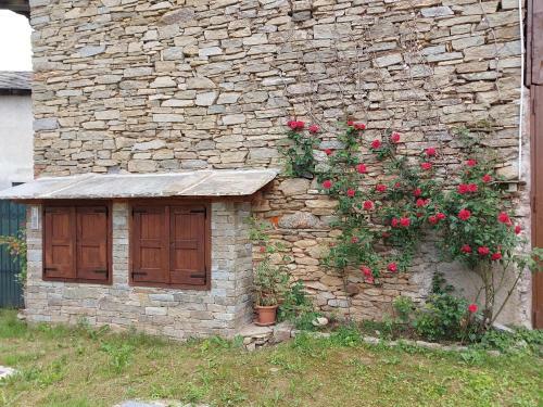 Apartamento Pelagallo