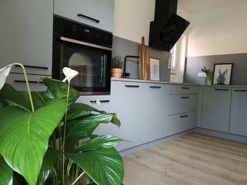 Haus Zur Lachenden Lieselotte