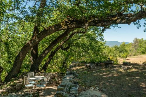 Bed & Breakfast Domaine de La Santonne