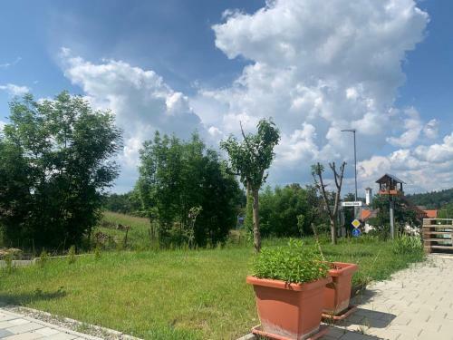 Apartamento Olive