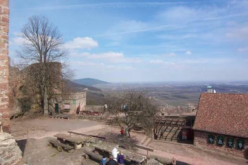 Apartamento Fewo Im Herzen Der Pfalz Mit Sonnenterrasse