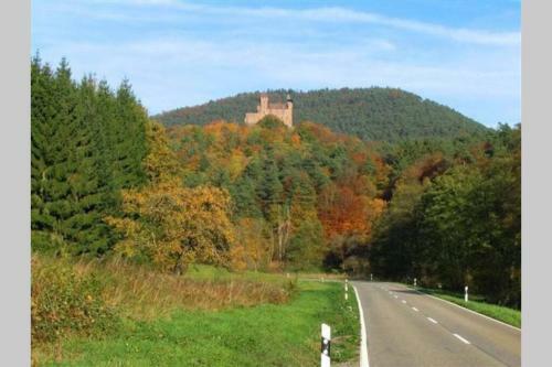 Apartamento Fewo Im Herzen Der Pfalz Mit Sonnenterrasse