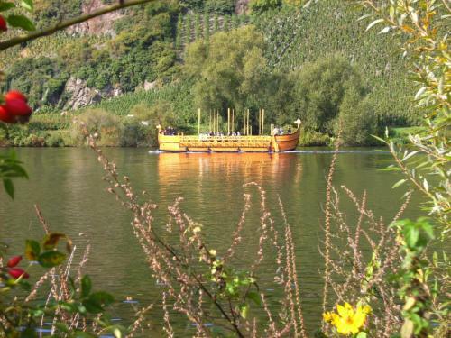 Apartamento Ferienwohnung Moselblick