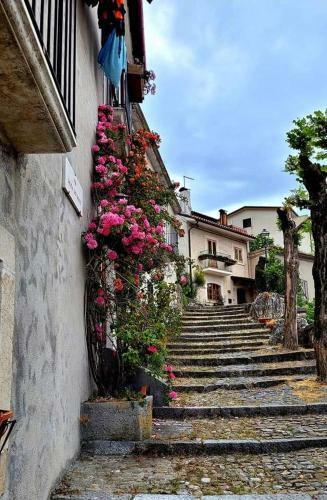 Apartamento Casetta Angie