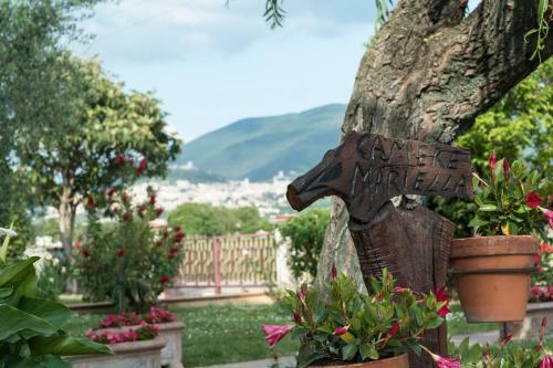 Bed & Breakfast Camere Mariella