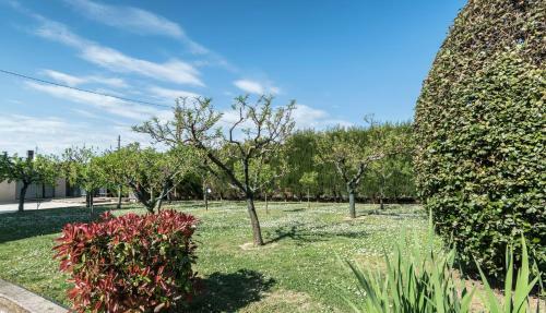 Bed & Breakfast Camere Mariella