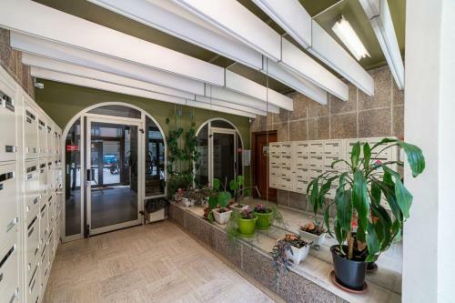 Apartment With Balcony In The City Center