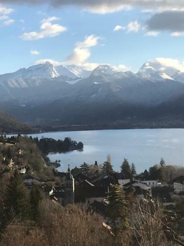 Apartamento Studio En Plein Centre-ville D'annecy