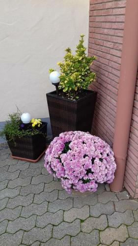 Apartamento Ferienweingut Gerhard Lenz