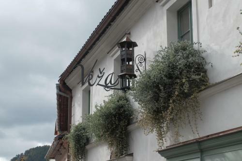 Hostal Penzion Veza