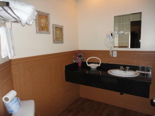 Hotel H�tel �cono Confort