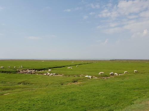 Ferienhaus K�thchen Am Deich Vor Den Toren Von Sylt