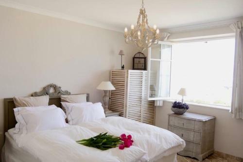 Apartamento Bord de Mer - Ac, Wifi, Chic, Balcony, Sea View