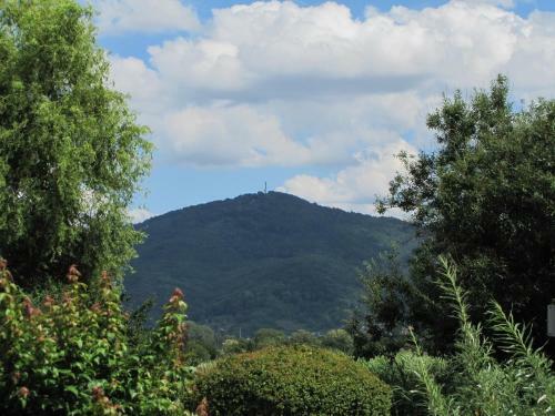 Hostal Pension Nickel Marktstra�e 11 Alsbach-h�hnlein