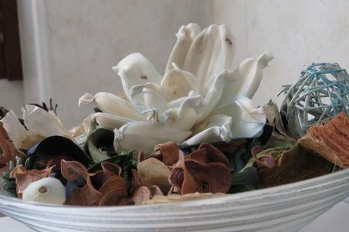 Apartamento Francesca's Home