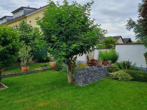 Apartamento Haus Schneider