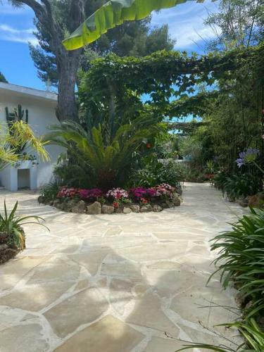Villa Cap D'antibes 50m From The Beach 3 Bedrooms/pool