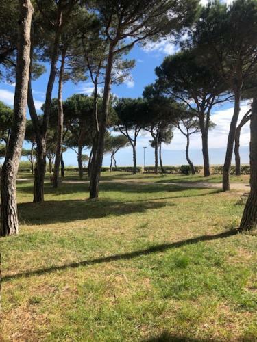 Apartamento Mer Soleil Pinede
