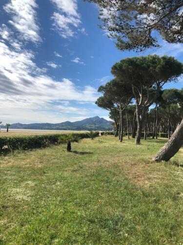 Apartamento Mer Soleil Pinede