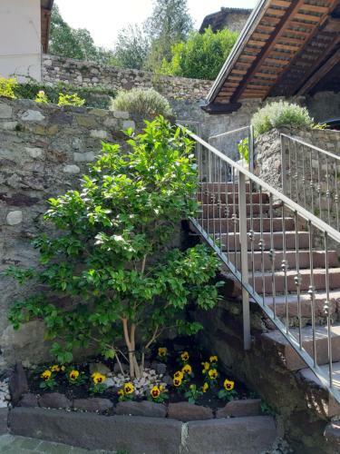 Casa Vacanza Scacco D' Argento