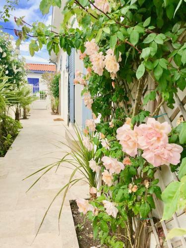 Villa Le Trois M�ts