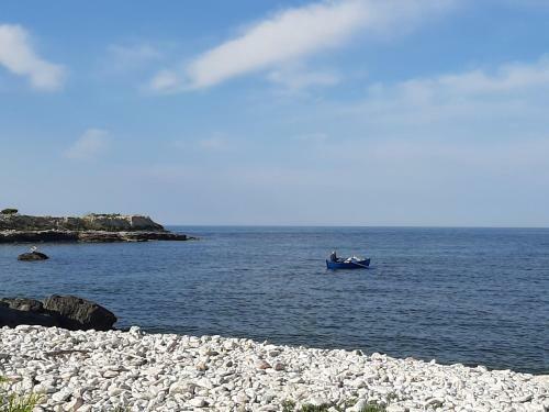 Bed & Breakfast Agor� Bisceglie