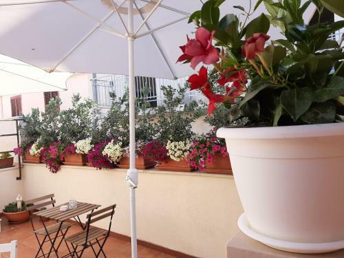 Bed & Breakfast Agor� Bisceglie