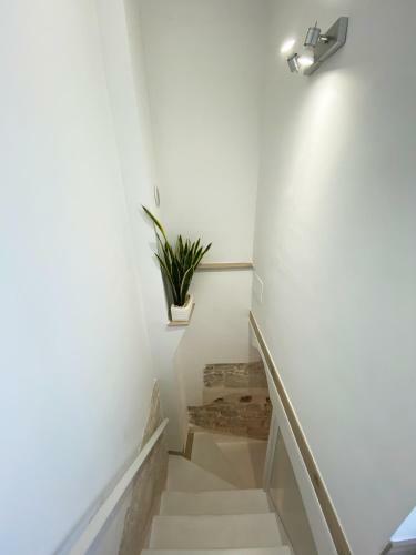 Apartamento White Home