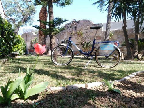 B&B Mediterraneo