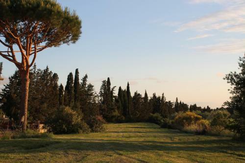 Apartamento Le Grascete